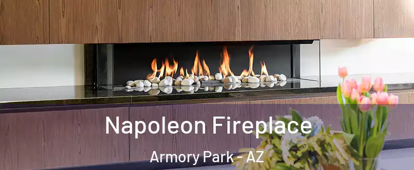 Napoleon Fireplace Armory Park - AZ