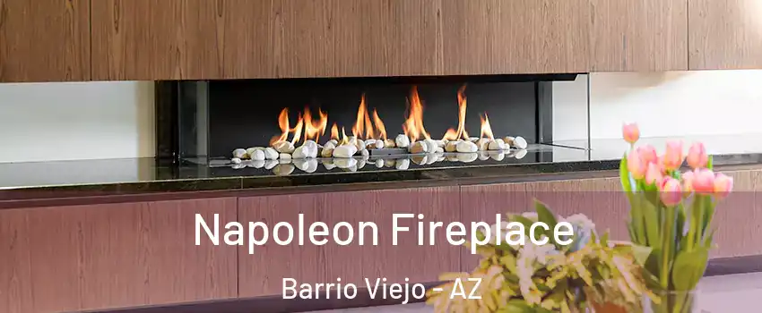 Napoleon Fireplace Barrio Viejo - AZ