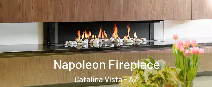 Napoleon Fireplace Catalina Vista - AZ