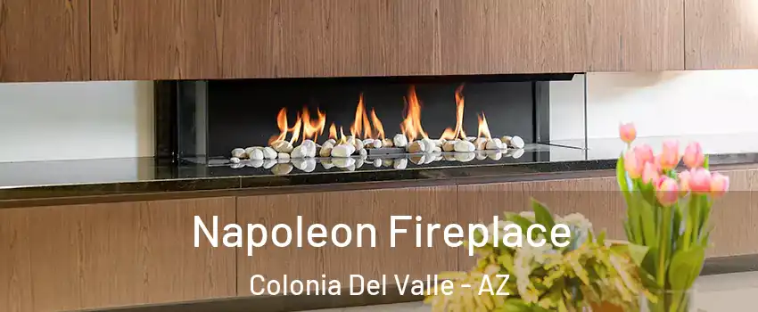 Napoleon Fireplace Colonia Del Valle - AZ