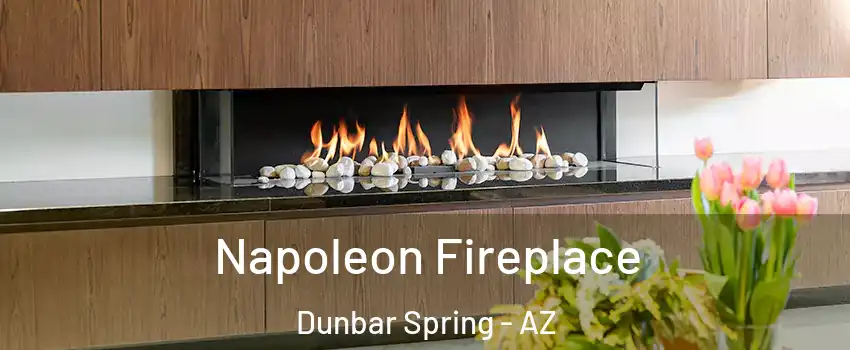 Napoleon Fireplace Dunbar Spring - AZ