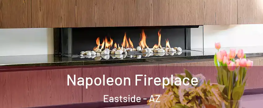 Napoleon Fireplace Eastside - AZ