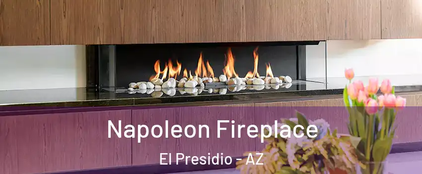 Napoleon Fireplace El Presidio - AZ