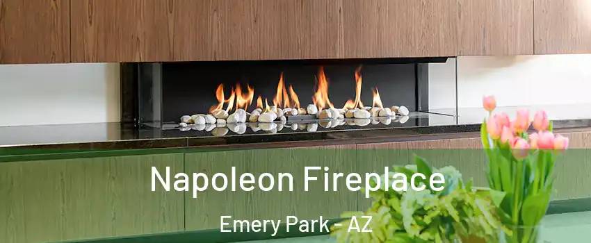 Napoleon Fireplace Emery Park - AZ