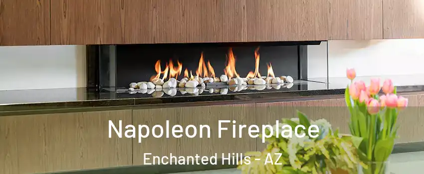 Napoleon Fireplace Enchanted Hills - AZ