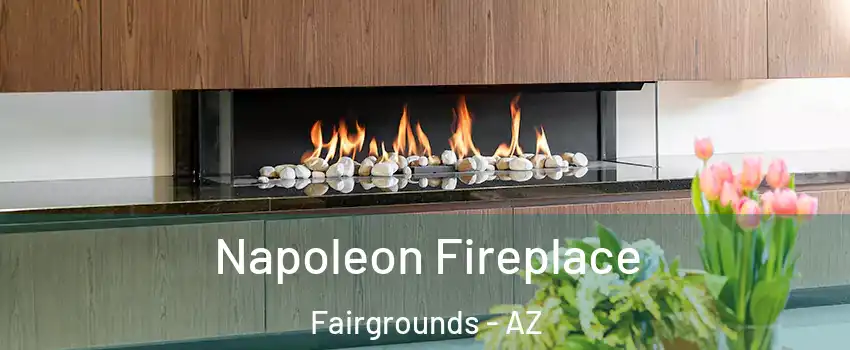 Napoleon Fireplace Fairgrounds - AZ