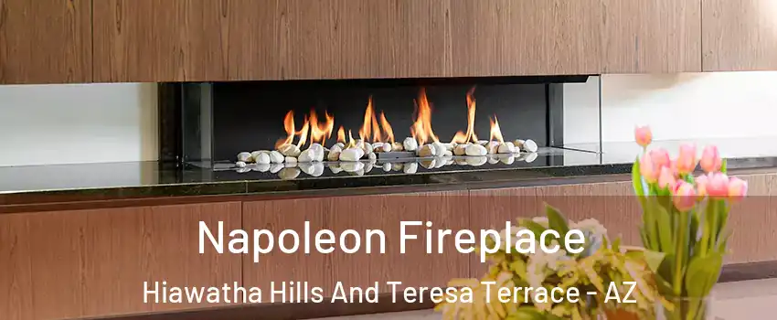 Napoleon Fireplace Hiawatha Hills And Teresa Terrace - AZ