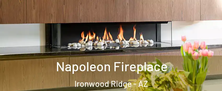 Napoleon Fireplace Ironwood Ridge - AZ