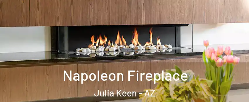 Napoleon Fireplace Julia Keen - AZ