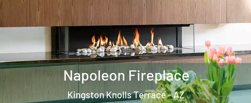 Napoleon Fireplace Kingston Knolls Terrace - AZ