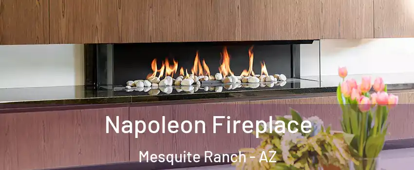 Napoleon Fireplace Mesquite Ranch - AZ