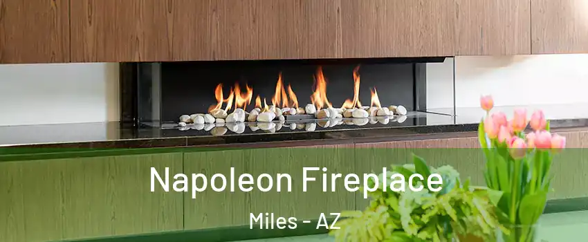 Napoleon Fireplace Miles - AZ