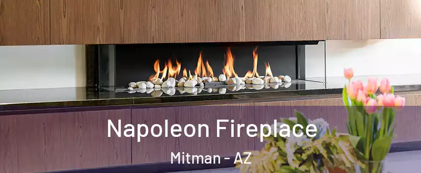 Napoleon Fireplace Mitman - AZ