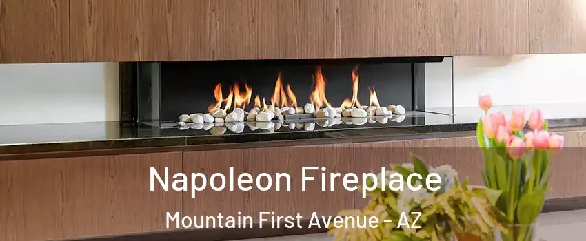 Napoleon Fireplace Mountain First Avenue - AZ