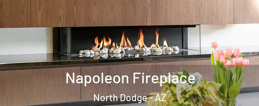 Napoleon Fireplace North Dodge - AZ