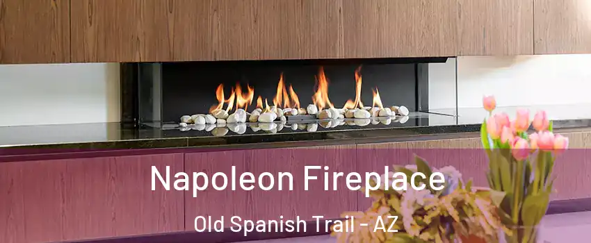 Napoleon Fireplace Old Spanish Trail - AZ