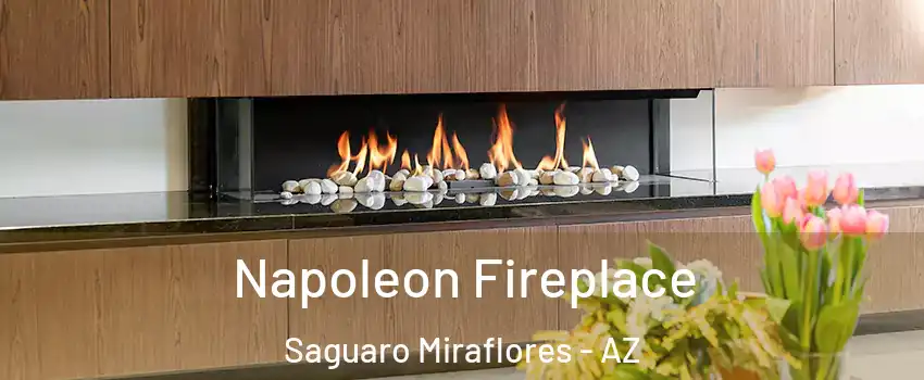 Napoleon Fireplace Saguaro Miraflores - AZ