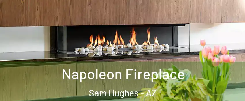 Napoleon Fireplace Sam Hughes - AZ