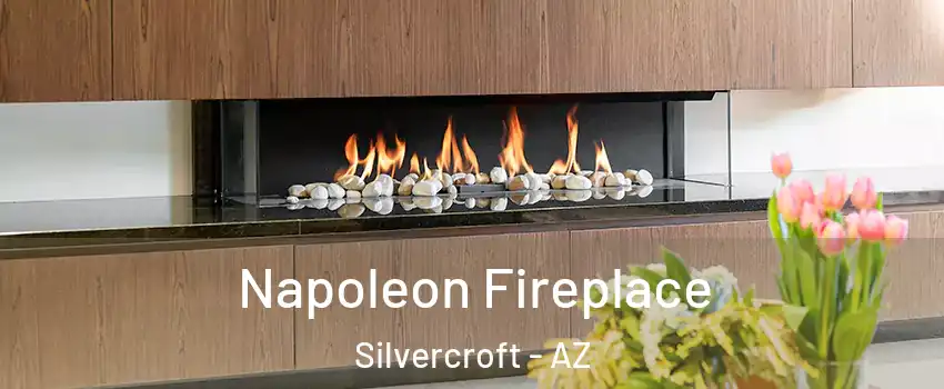 Napoleon Fireplace Silvercroft - AZ