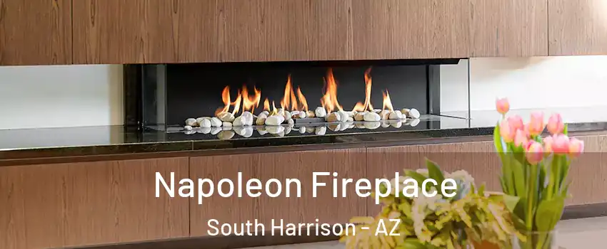 Napoleon Fireplace South Harrison - AZ