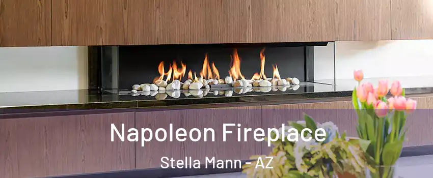 Napoleon Fireplace Stella Mann - AZ