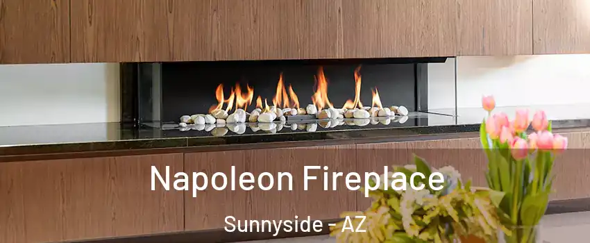 Napoleon Fireplace Sunnyside - AZ