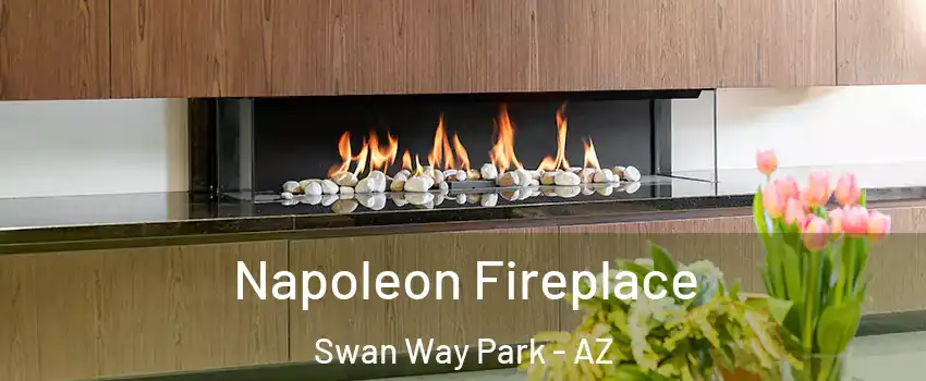 Napoleon Fireplace Swan Way Park - AZ