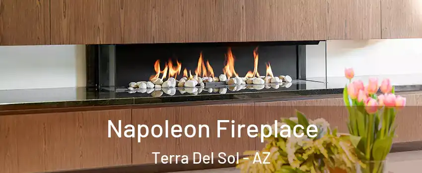 Napoleon Fireplace Terra Del Sol - AZ