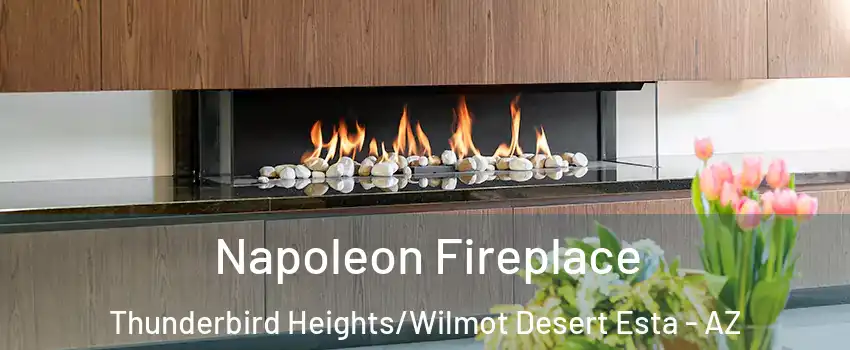 Napoleon Fireplace Thunderbird Heights/Wilmot Desert Esta - AZ