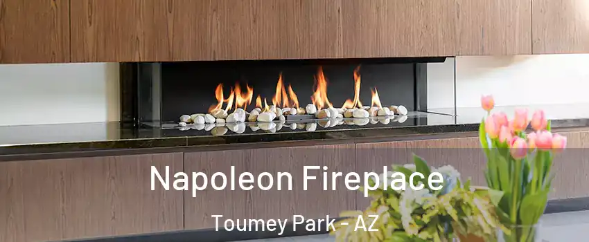 Napoleon Fireplace Toumey Park - AZ