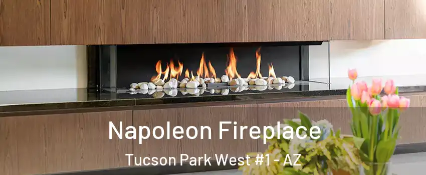Napoleon Fireplace Tucson Park West #1 - AZ