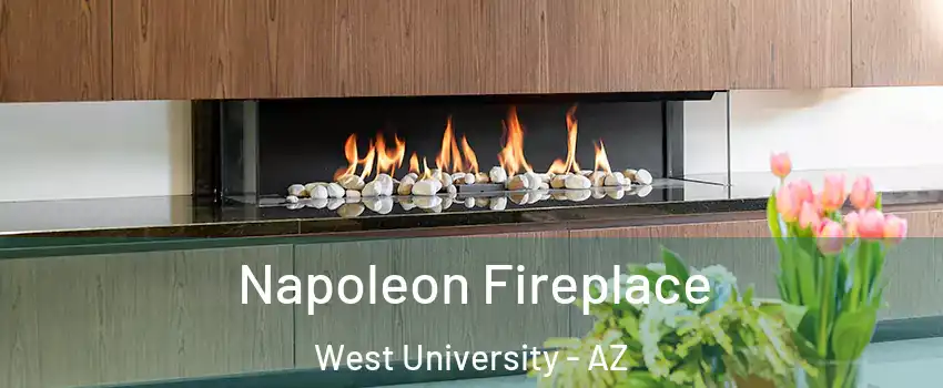Napoleon Fireplace West University - AZ