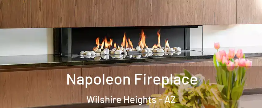 Napoleon Fireplace Wilshire Heights - AZ