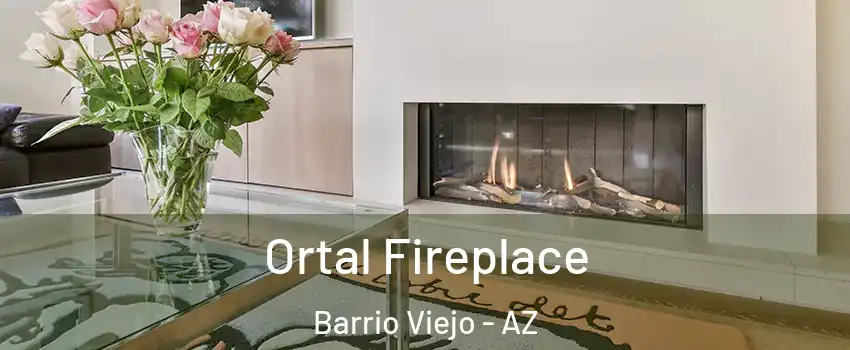 Ortal Fireplace Barrio Viejo - AZ