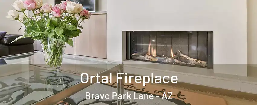 Ortal Fireplace Bravo Park Lane - AZ