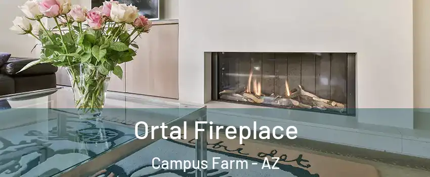 Ortal Fireplace Campus Farm - AZ