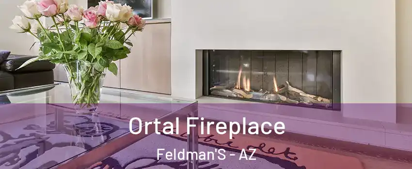 Ortal Fireplace Feldman'S - AZ