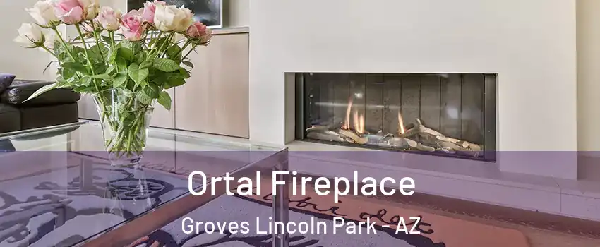 Ortal Fireplace Groves Lincoln Park - AZ