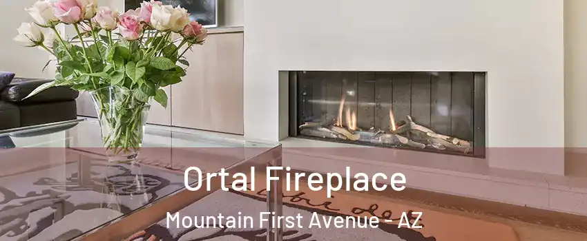 Ortal Fireplace Mountain First Avenue - AZ