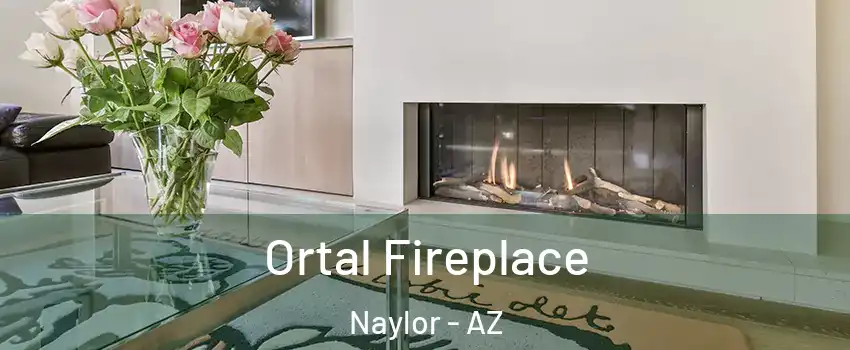 Ortal Fireplace Naylor - AZ