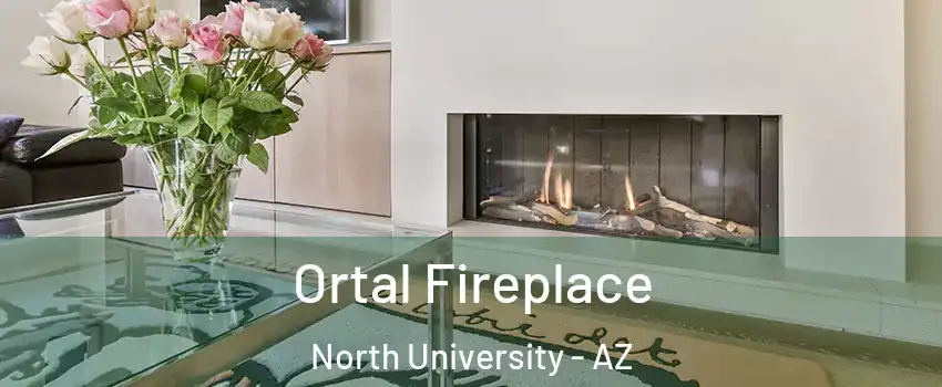 Ortal Fireplace North University - AZ