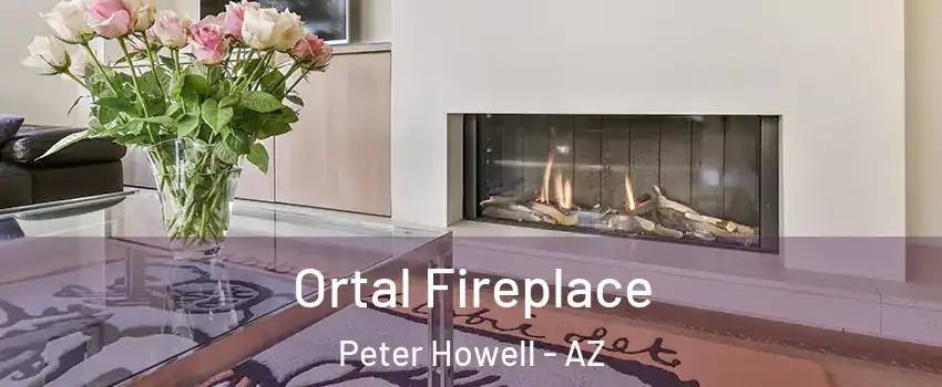 Ortal Fireplace Peter Howell - AZ
