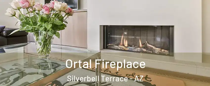 Ortal Fireplace Silverbell Terrace - AZ