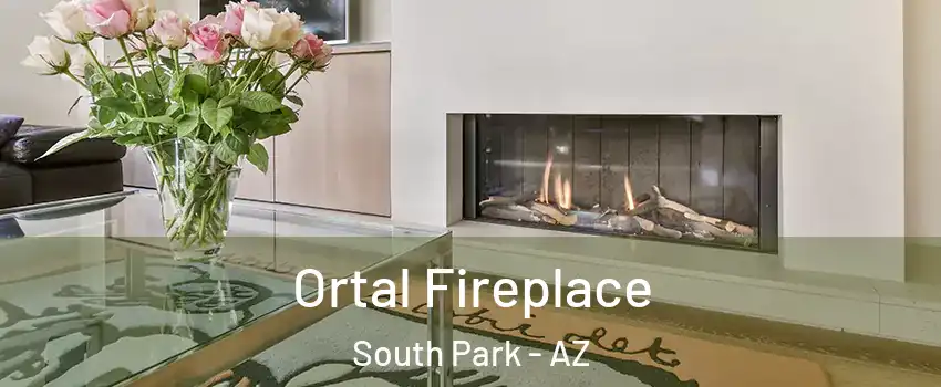 Ortal Fireplace South Park - AZ