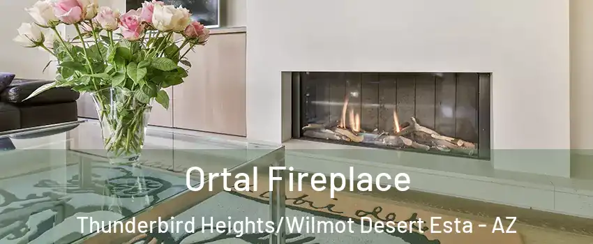 Ortal Fireplace Thunderbird Heights/Wilmot Desert Esta - AZ