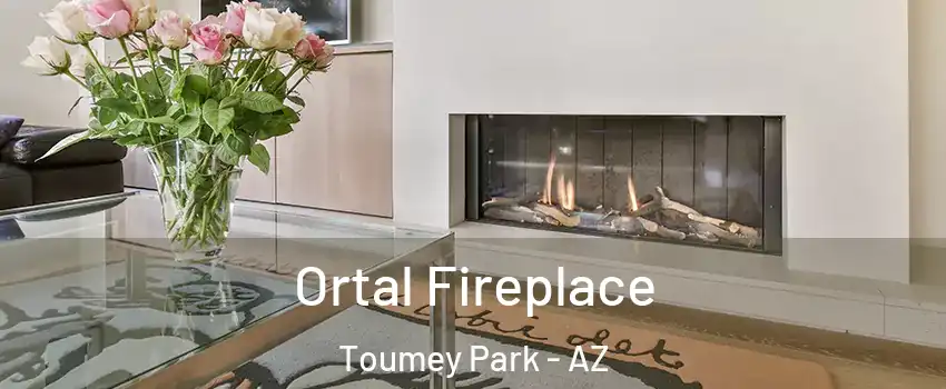 Ortal Fireplace Toumey Park - AZ