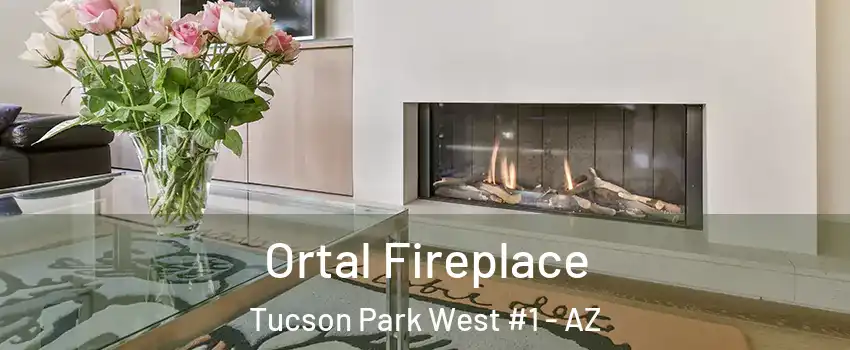 Ortal Fireplace Tucson Park West #1 - AZ