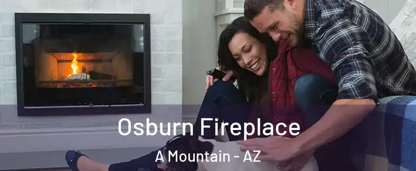Osburn Fireplace A Mountain - AZ