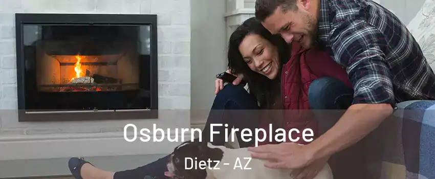 Osburn Fireplace Dietz - AZ
