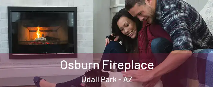 Osburn Fireplace Udall Park - AZ